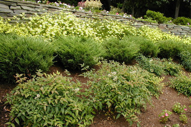 Photo of a contemporary landscaping in DC Metro.