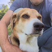 Tim Channell's photo