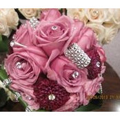 Lisa Lucas's photo