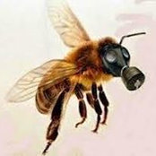 Markus Swabuk's photo