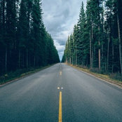 Annie Holm's photo