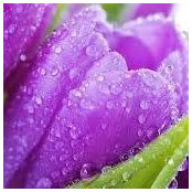 Cheryl Curry's photo