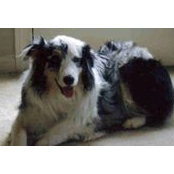 Deb McWilliams's photo