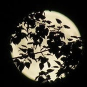Judith Torra's photo