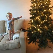 Robin Shipman's photo