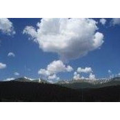 Sarah Bueltmann's photo