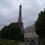Sharon C's photo