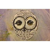 Silvana Vincenti's photo