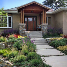 Landscape Ideas