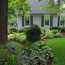 Madison Ave Yard