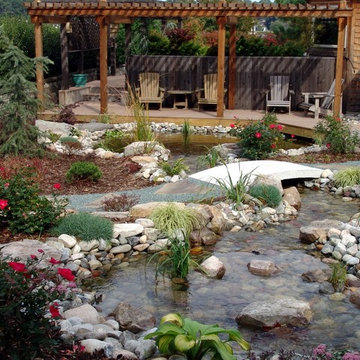 Waterfall and Pond