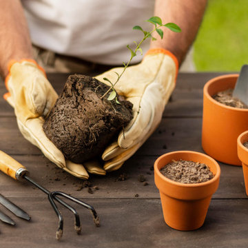 How to Properly Prepare and Use Coco Coir in Gardening