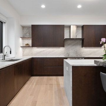 Modern Kitchen Cabinets