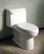American Standard Champion 4 Elongatedone-Piece Toilet With Seat, White