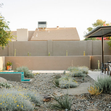 Desert Vista