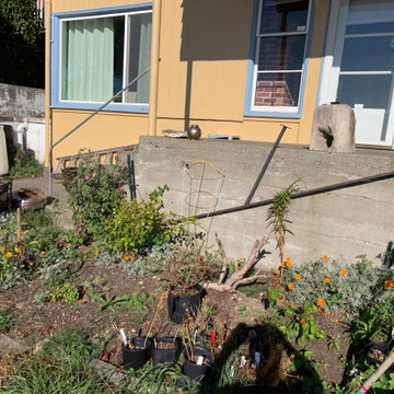 Rustic Italian Garden in University Place