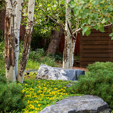 Denver Landscaping