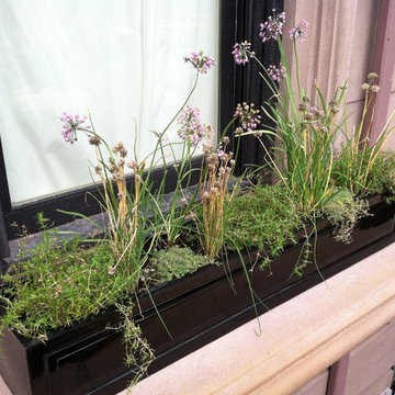 Capital Garden Planters