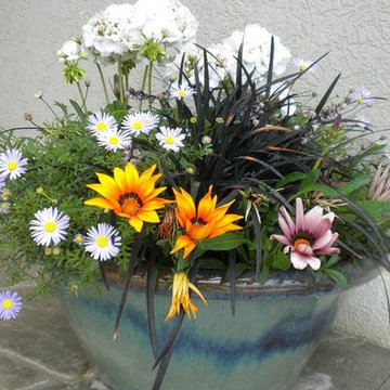 Container Plantings