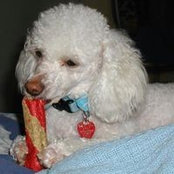 Shirley Geer's photo