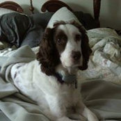 Bridgett Keeley's photo