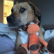 Stephanie Realsen's photo