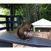Marc Fortin's photo