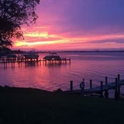 Ann Peck's photo