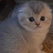 инна васильеваさんの写真