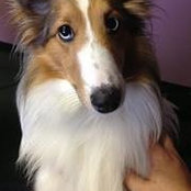 Cortney Smith's photo