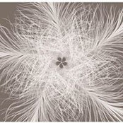 Gail Acevedo's photo