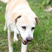 Barbara Bobbitt's photo