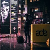 Lewis Benfield's photo