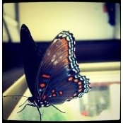 Dalia Elsherbeni's photo
