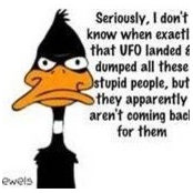 Lant Snodgrass's photo