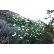 Bonnie River's photo