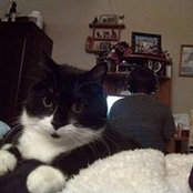 Tina Lynch's photo