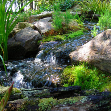 Ponds and Streams