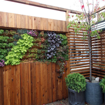 Lincoln Park Garage Rooftop Garden