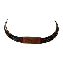 Horns