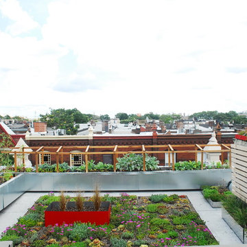 WOODSTOCK Rooftop Landscape