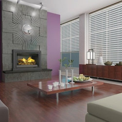 Napoleon GDI44 Series 44'' x 27'' DV Gas Insert Fireplace - Indoor Fireplaces