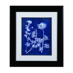BM Line - Home Decor