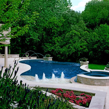 Vanishing Edge Pool Raised Spa Long Grove, IL