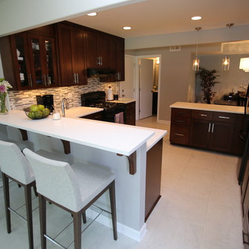 Modern Contemporary Kitchen Remodel in Aurora, IL