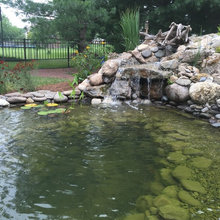 Ponds