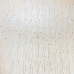 Wall Tile in Front Entry - Wall And Floor Tile