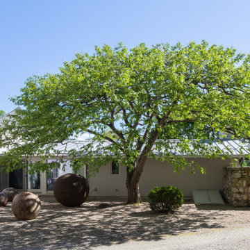 Country Fruit Tree Pruning