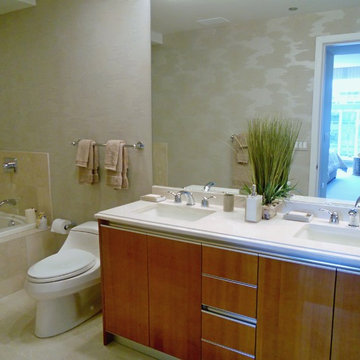 Contemporary Condominium overlooking Michigan Avenue and Lake Michigan