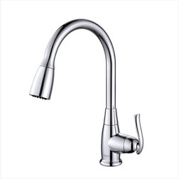 Transitional Kitchen Faucets Premier 2-Function Pull-Down 1-Handle 1-Hole Kitchen Faucet Chrome